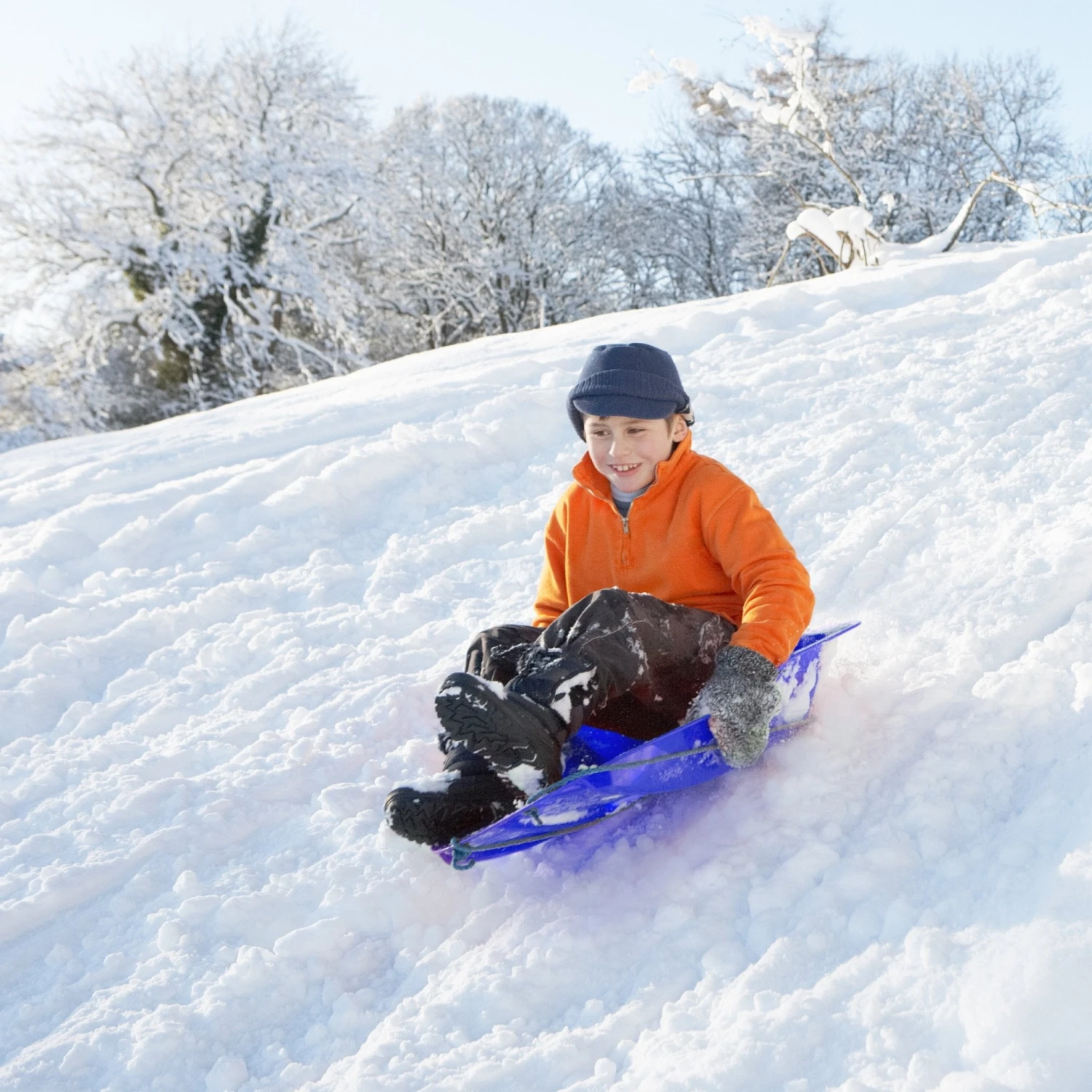 Alpha Sledge-Blue 2 Alpha Sledge-Blue - Image 2