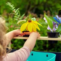 TP Little Chef Wooden Mud Kitchen - FSC<sup>®</sup> Certified 19 TP Little Chef Wooden Mud Kitchen - FSC<sup>®</sup> Certified -TP Playworld Cheap Store TP654 11